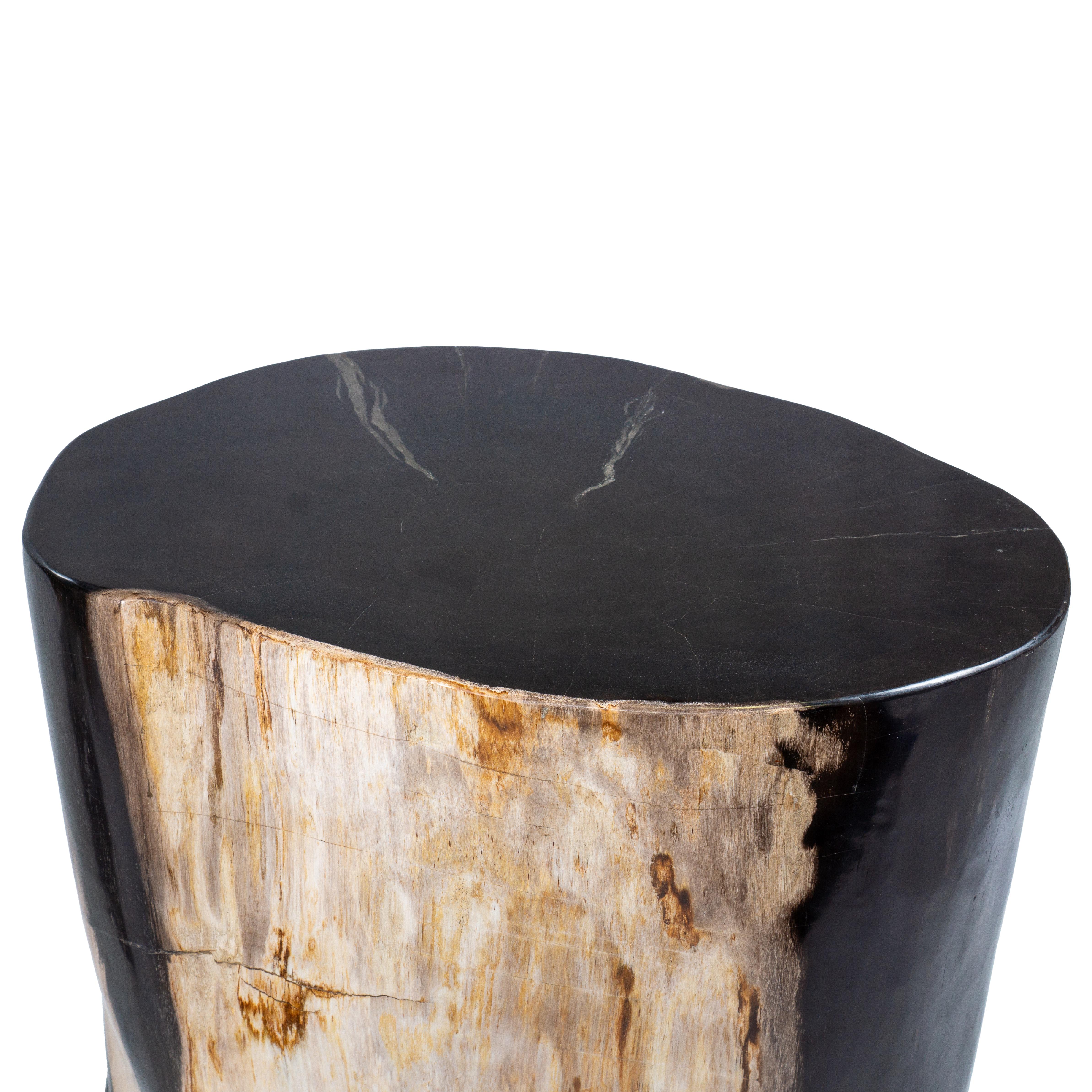 Table d'appoint ovale rare, vieille de 20 millions d'années en bois pétrifié en vente 1