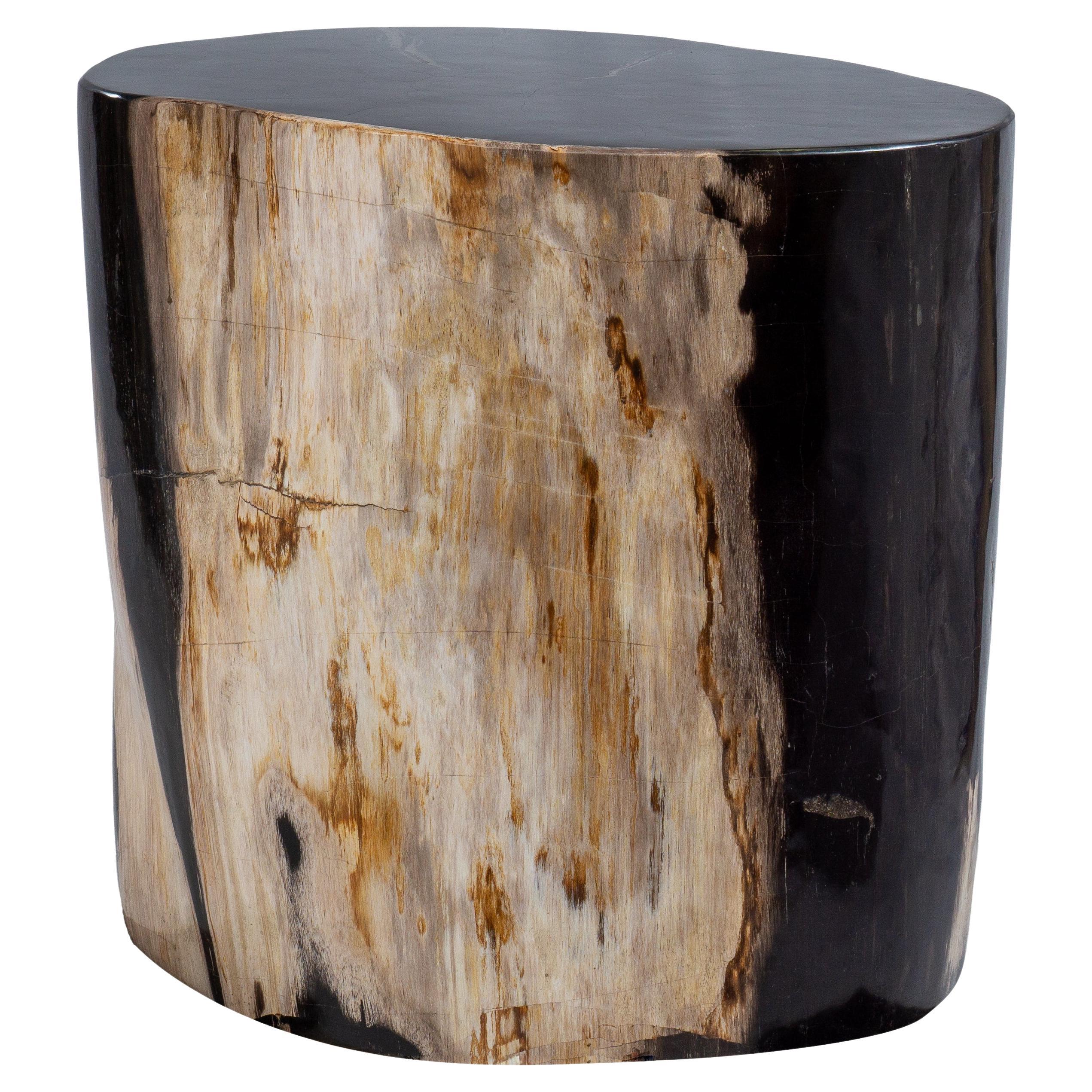 Table d
appoint ovale rare, vieille de 20 millions d
années en bois pétrifié en vente