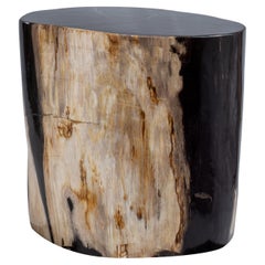 Table d'appoint ovale rare, vieille de 20 millions d'années en bois pétrifié