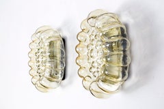 Oval, Midcentury, single
