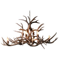 Oval Antler Chandelier