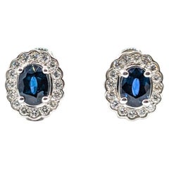 Oval Blue Sapphire & Diamond Halo Earrings in 14k White Gold