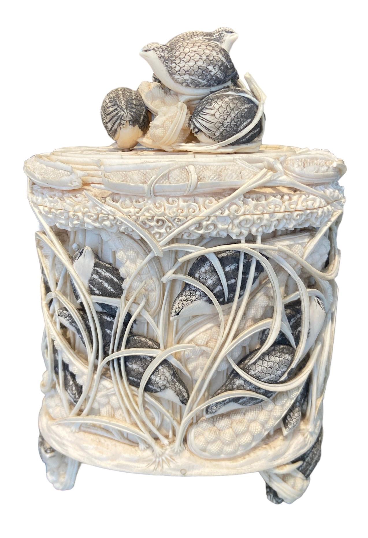 Autre Boîte ovale en ivoire décorée de hiboux de guinea dans les roseaux.  en vente