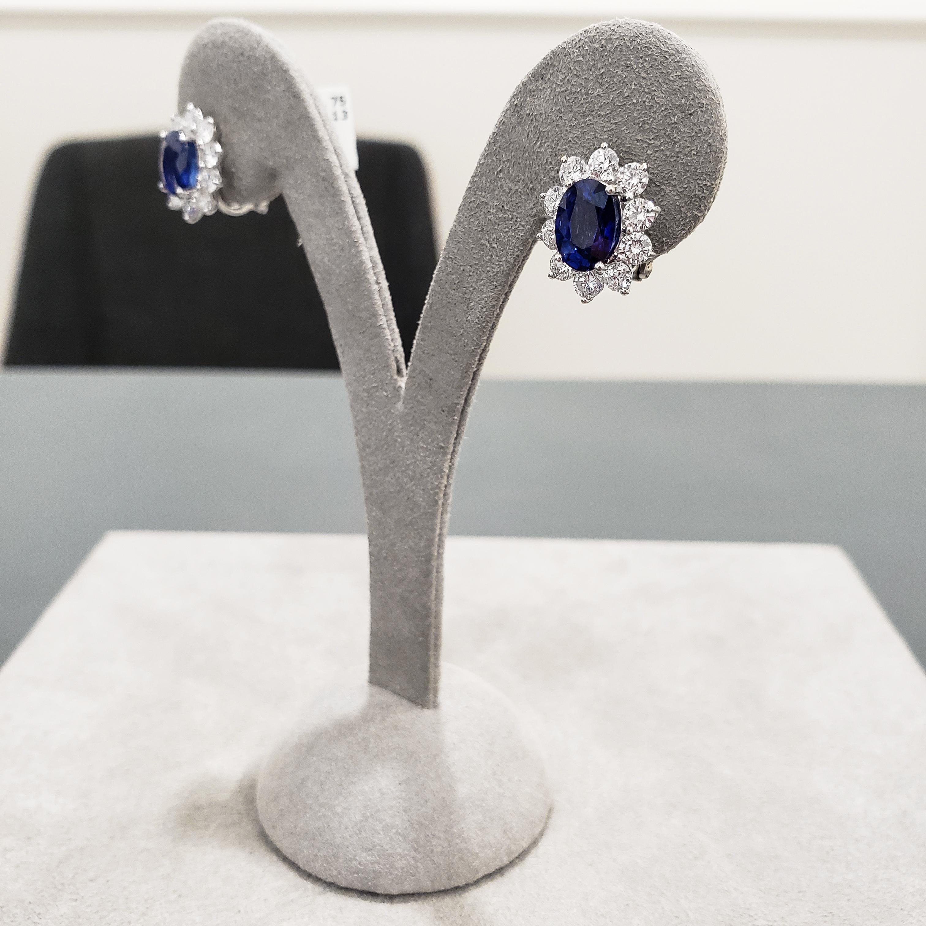Contemporary Roman Malakov, Oval Cut Blue Sapphire and Diamond Halo Flower Earrings For Sale