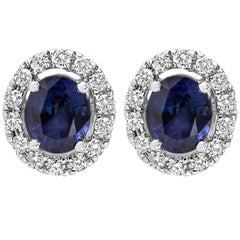 Oval Cut Blue Sapphire and Diamond Halo Stud Earrings