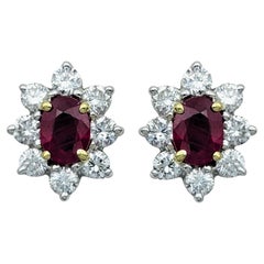 Oval Cut Ruby and Round Diamond Halo Stud Earrings in Two-Tone 18 Karat Gold