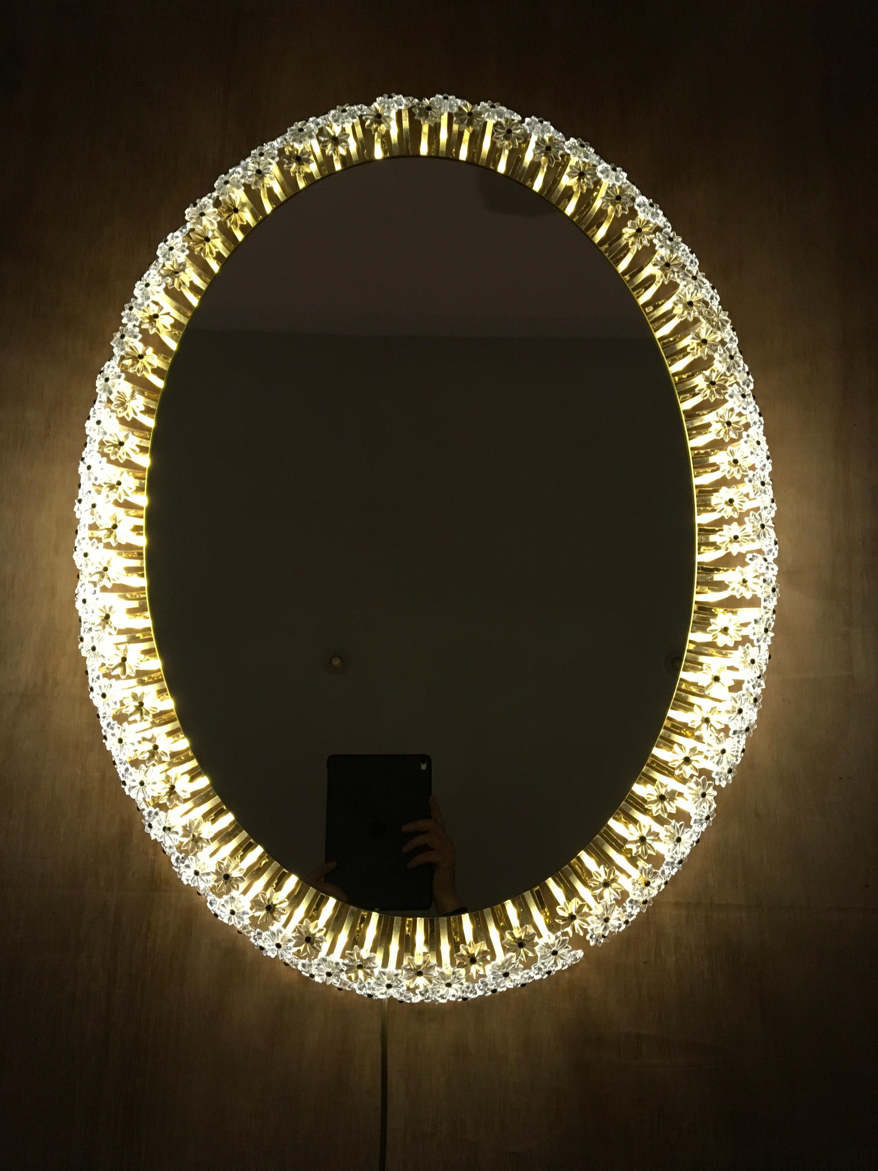 Oval Floral Illuminated Mirror by Emil Stejnar for Rupert Nikoll, Austria 8