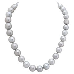 Oval Fresh water pearl (10 x 13mm) necklace on an 18K white gold chain. 15" long