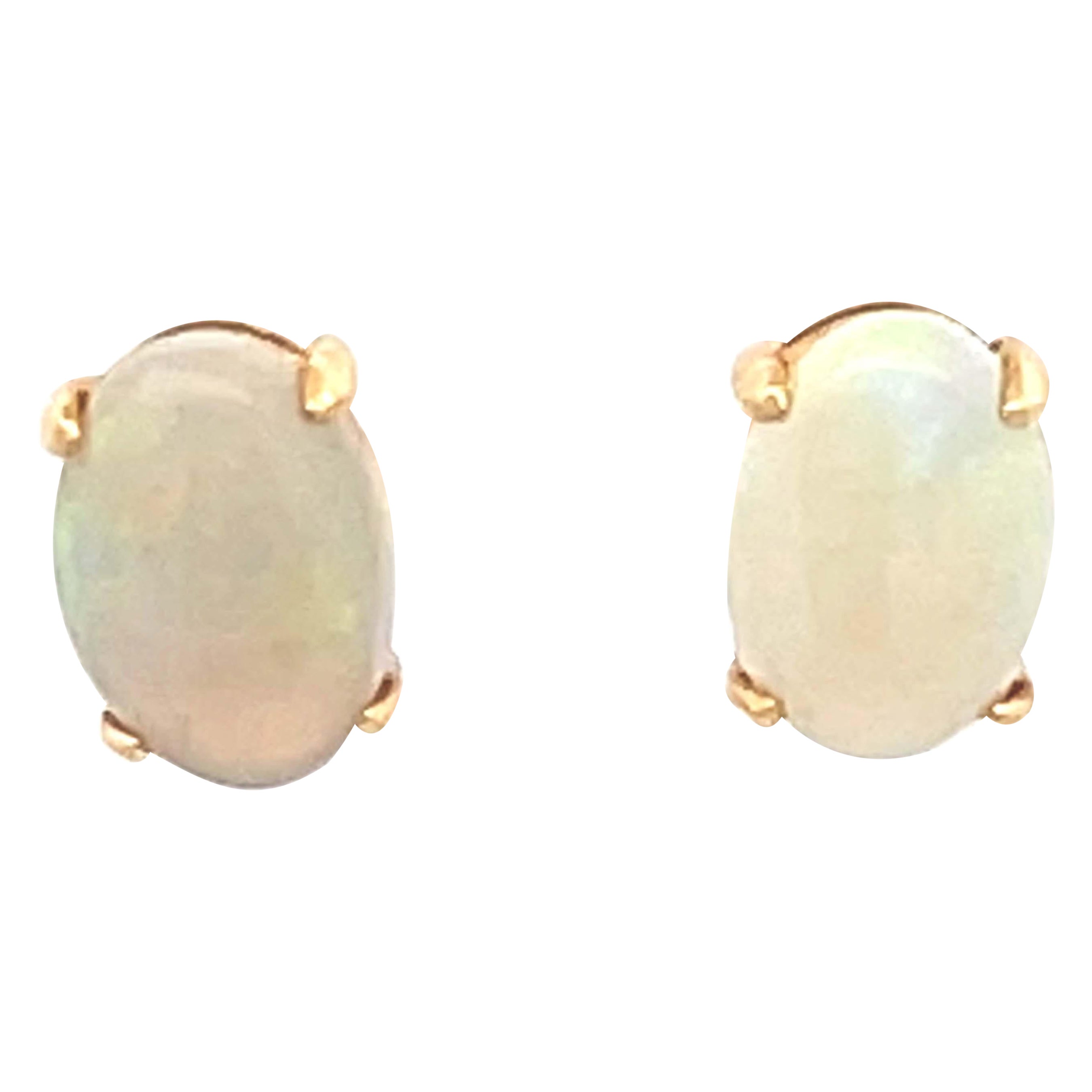 Oval Opal Stud Earrings in 14k Yellow Gold