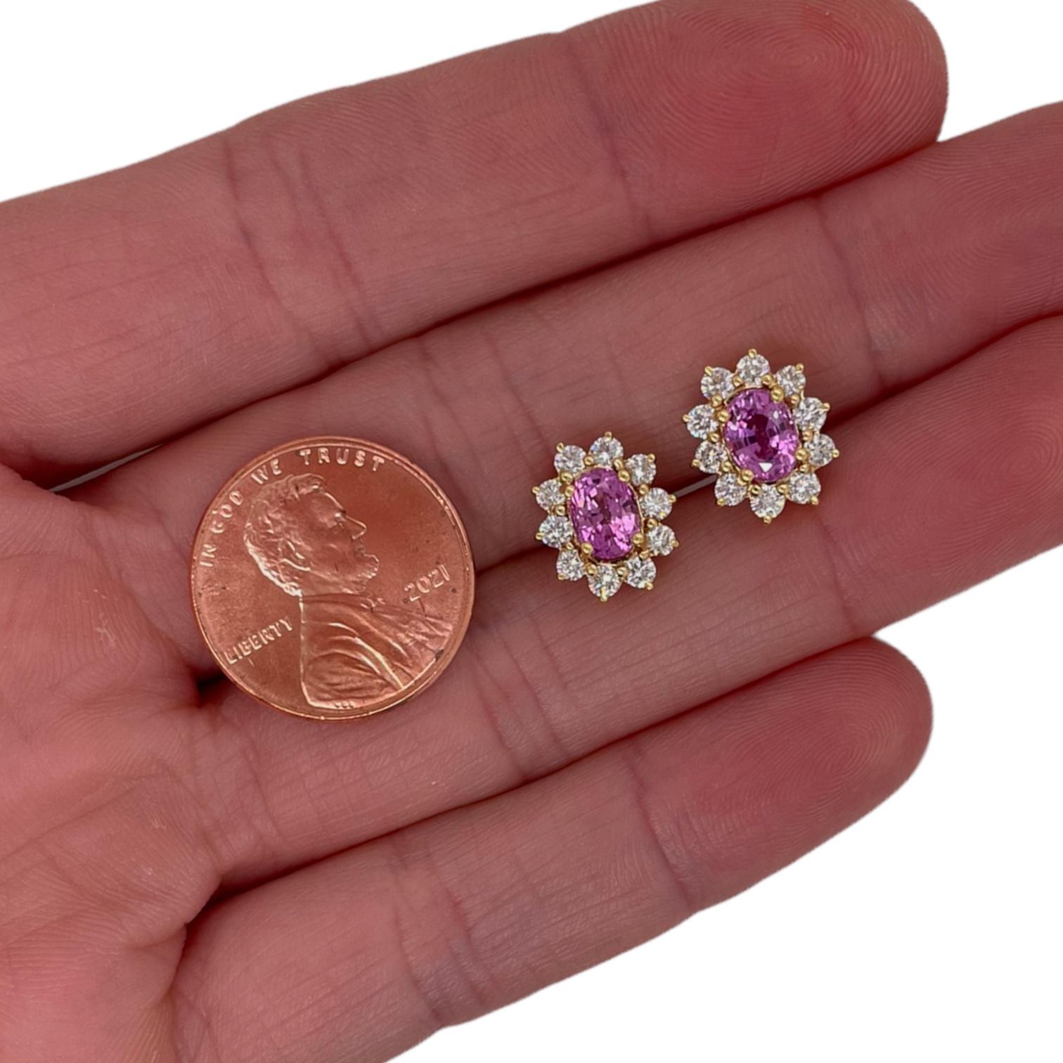 Cute pink sapphire and diamond halo stud earrings in 18k yellow gold. Earring contain 2 oval pink sapphires 1.63tcw, measuring approximately 6x4.5mm and 20 round brilliant diamonds, 0.74tcw. Diamonds are near colorless and SI1 in clarity. All stones