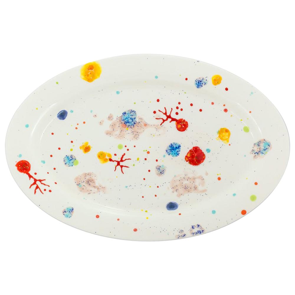 Contemporary Oval Platter Hand Painted Porcelain Tableware For Sale