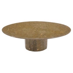 Oval Round Fossil Stone Marble Table Top Coffee Table w/ Loads of Ammonities