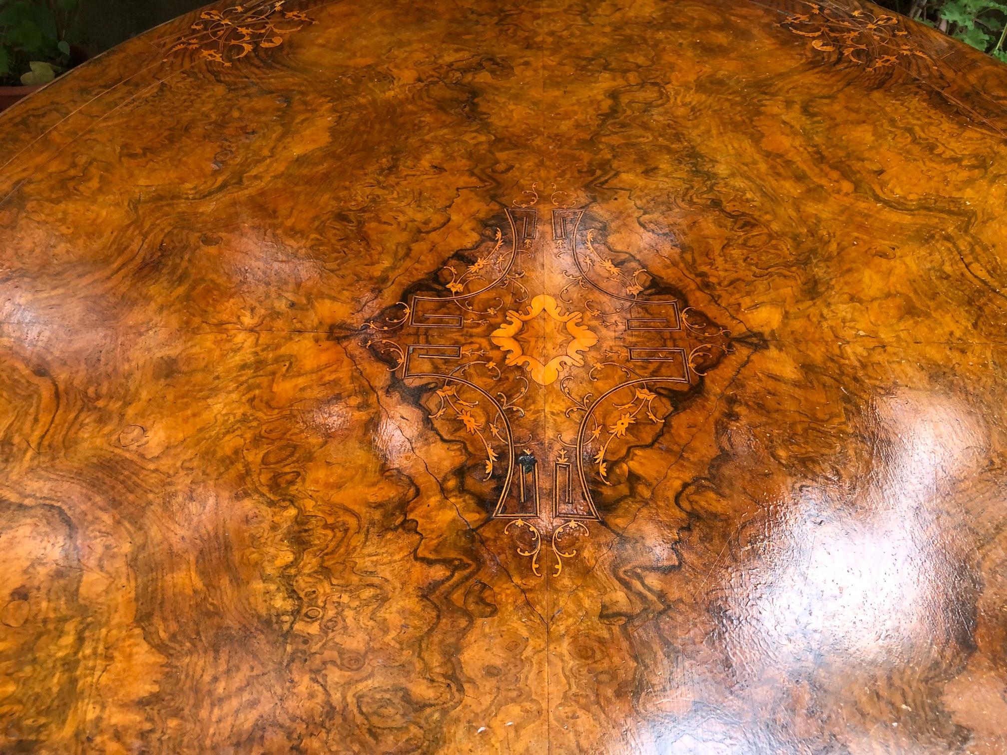 Noyer Table de voile ovale italienne du 20e siècle en noyer de racine, plateau incrusté, pieds en bois massif en vente