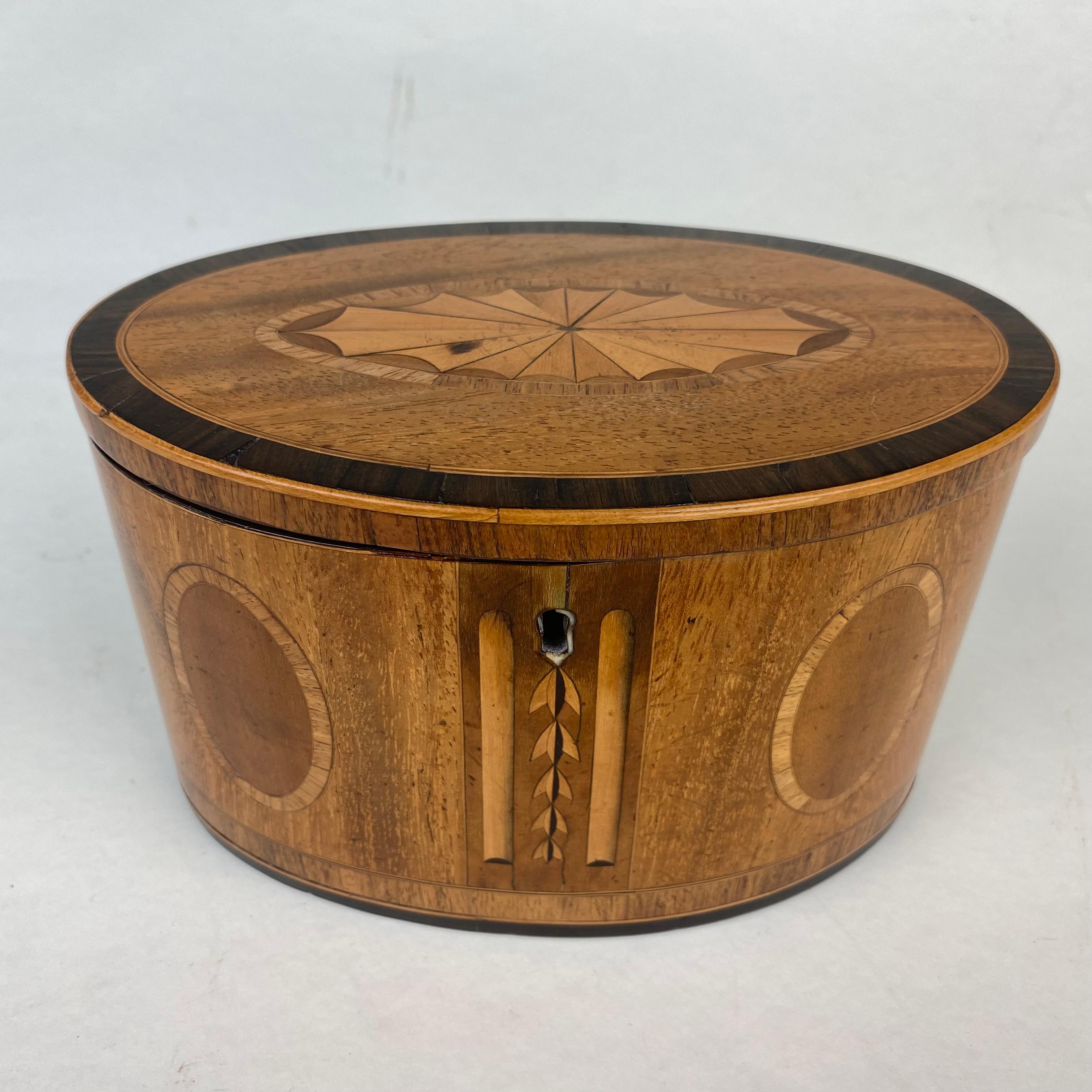 Oval Satinwood inlaid Tea Caddy For Sale 1