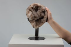 Ovaler Querschnitt mit lohfarbenem Drusus