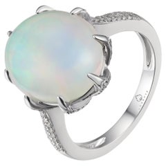 Fashion Rings