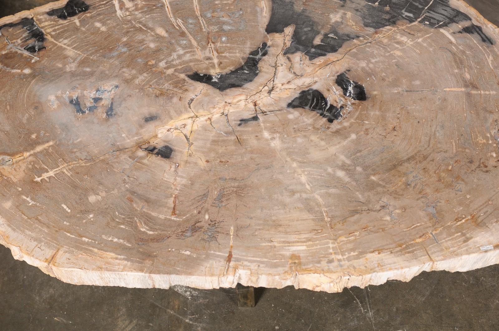 Table basse de forme ovale en dalle de bois pétrifié sur base en fer en vente 5