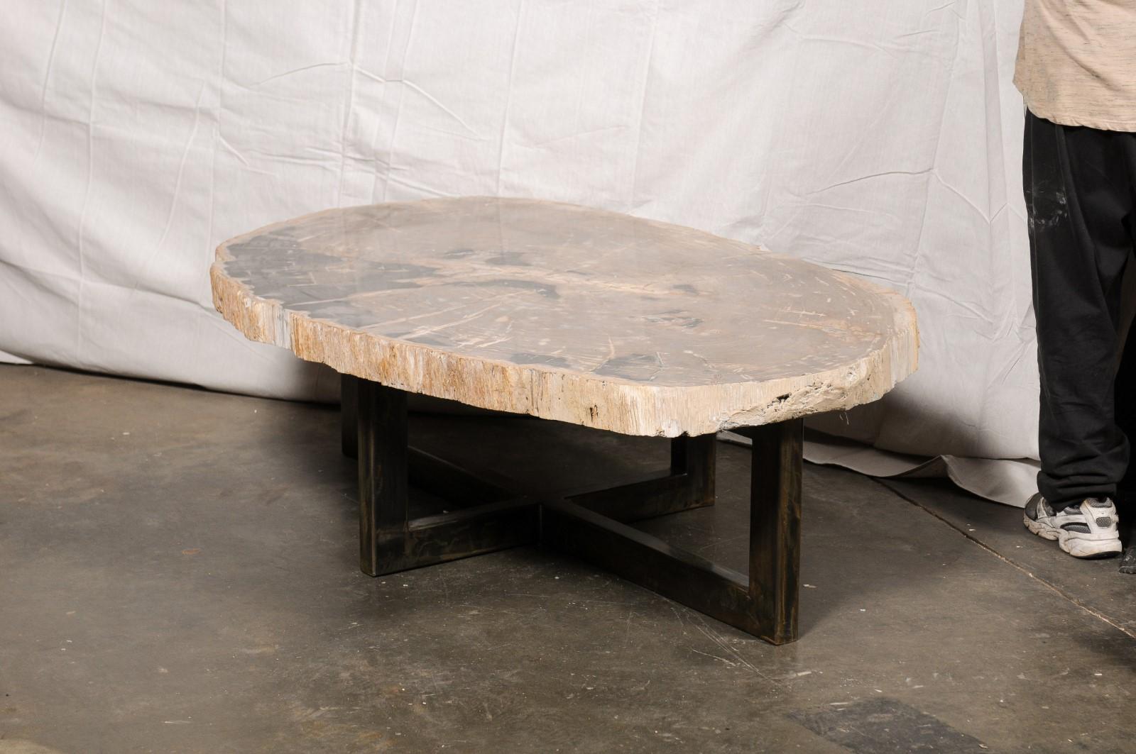 An impressive petrified wood top and iron base coffee table. This custom coffee table has been fashioned from a large and primarily oval-shaped single petrified wood which has been smoothly polished and retains its live edge. This exquisite slab