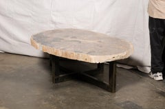 Oval-Shaped Petrified Wood Slab Coffee Table on Iron Base