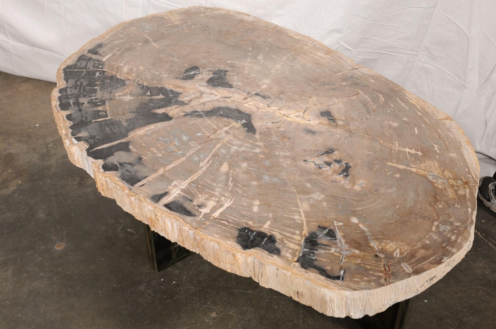 Table basse de forme ovale en dalle de bois pétrifié sur base en fer Bon état - En vente à Atlanta, GA