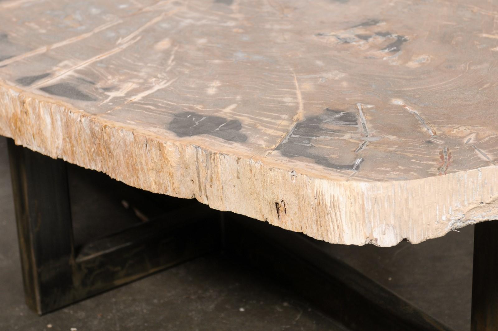 Fer Table basse de forme ovale en dalle de bois pétrifié sur base en fer en vente