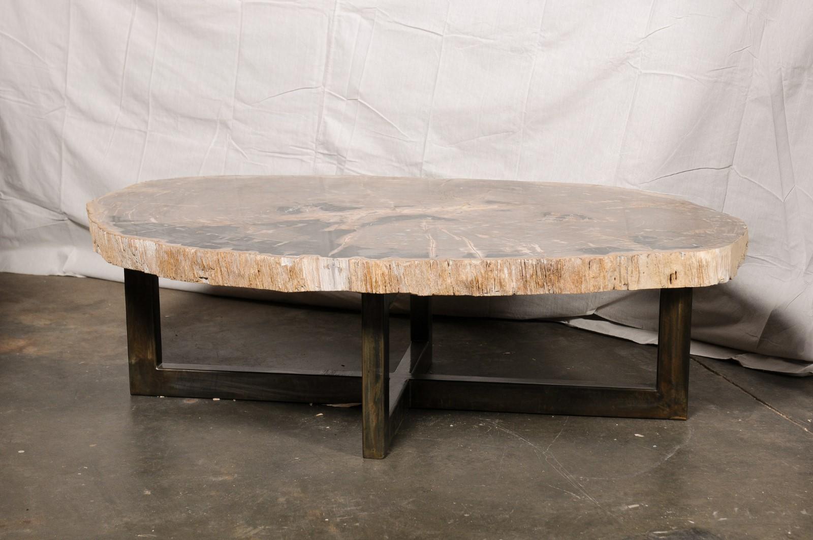 Table basse de forme ovale en dalle de bois pétrifié sur base en fer en vente 1