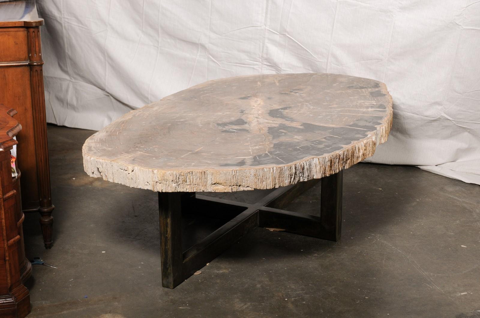Table basse de forme ovale en dalle de bois pétrifié sur base en fer en vente 2