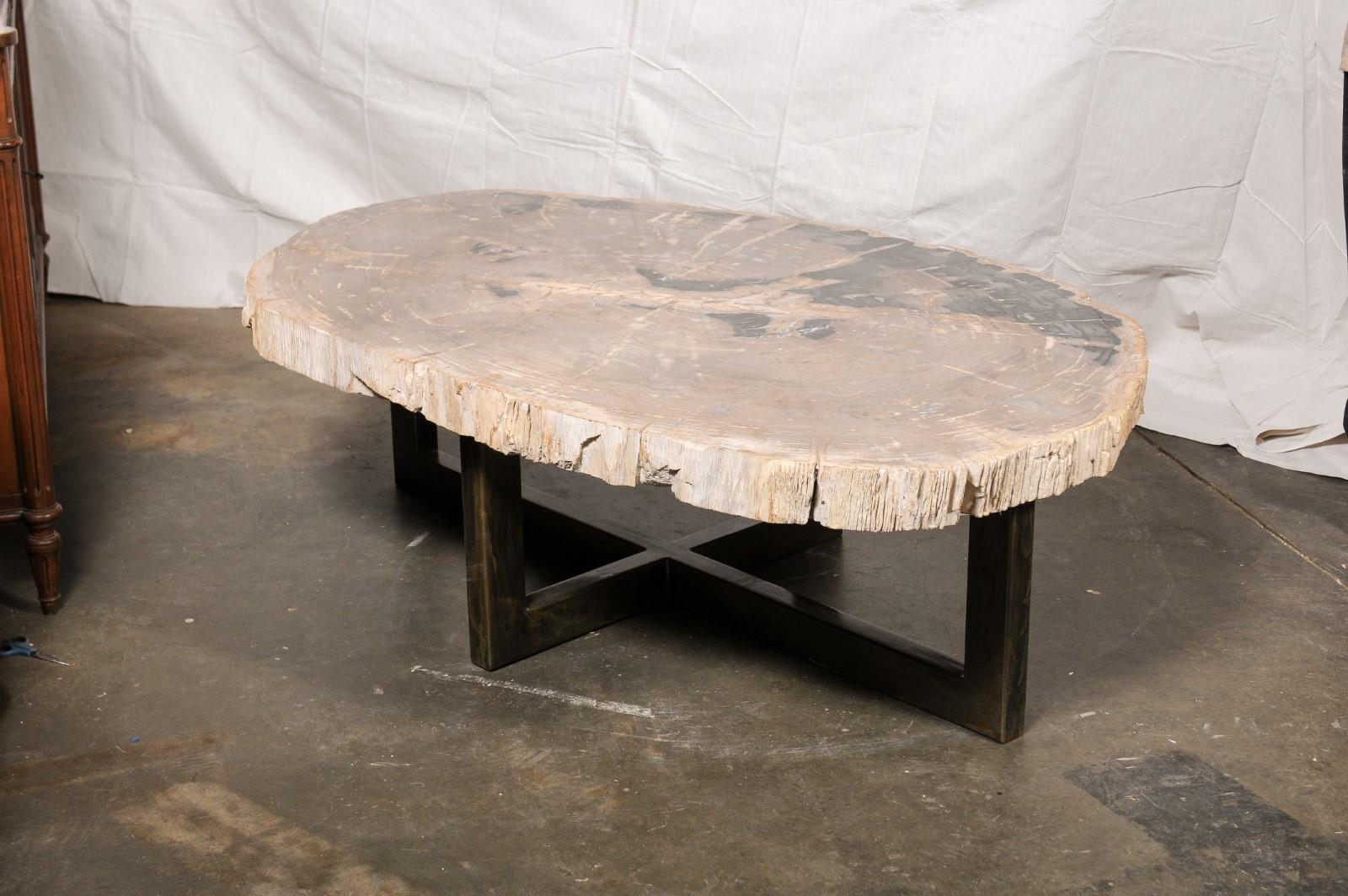 Table basse de forme ovale en dalle de bois pétrifié sur base en fer en vente 3