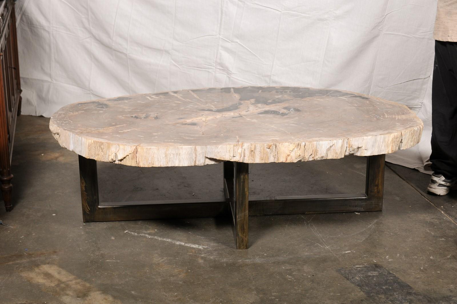 Table basse de forme ovale en dalle de bois pétrifié sur base en fer en vente 4