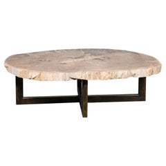 Antique Oval-Shaped Petrified Wood Slab Coffee Table on Iron Base