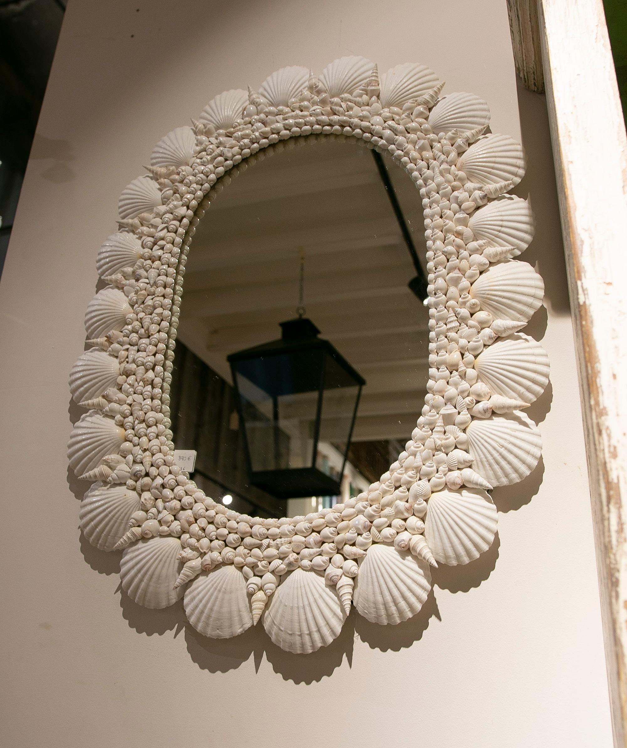 Oval-Shaped Wall Mirror Made from Seashells and Conch Shells 8