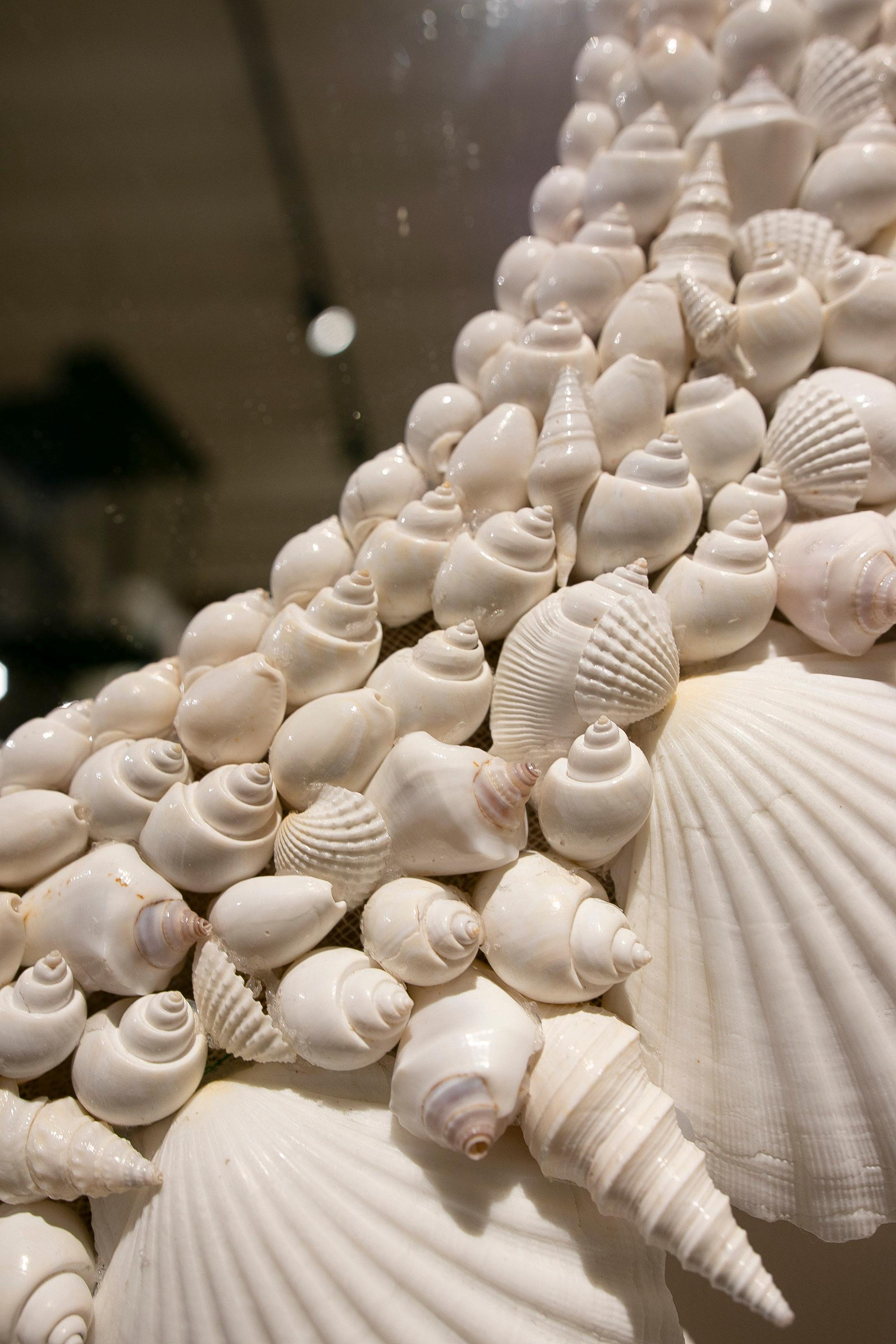Oval-Shaped Wall Mirror Made from Seashells and Conch Shells 10