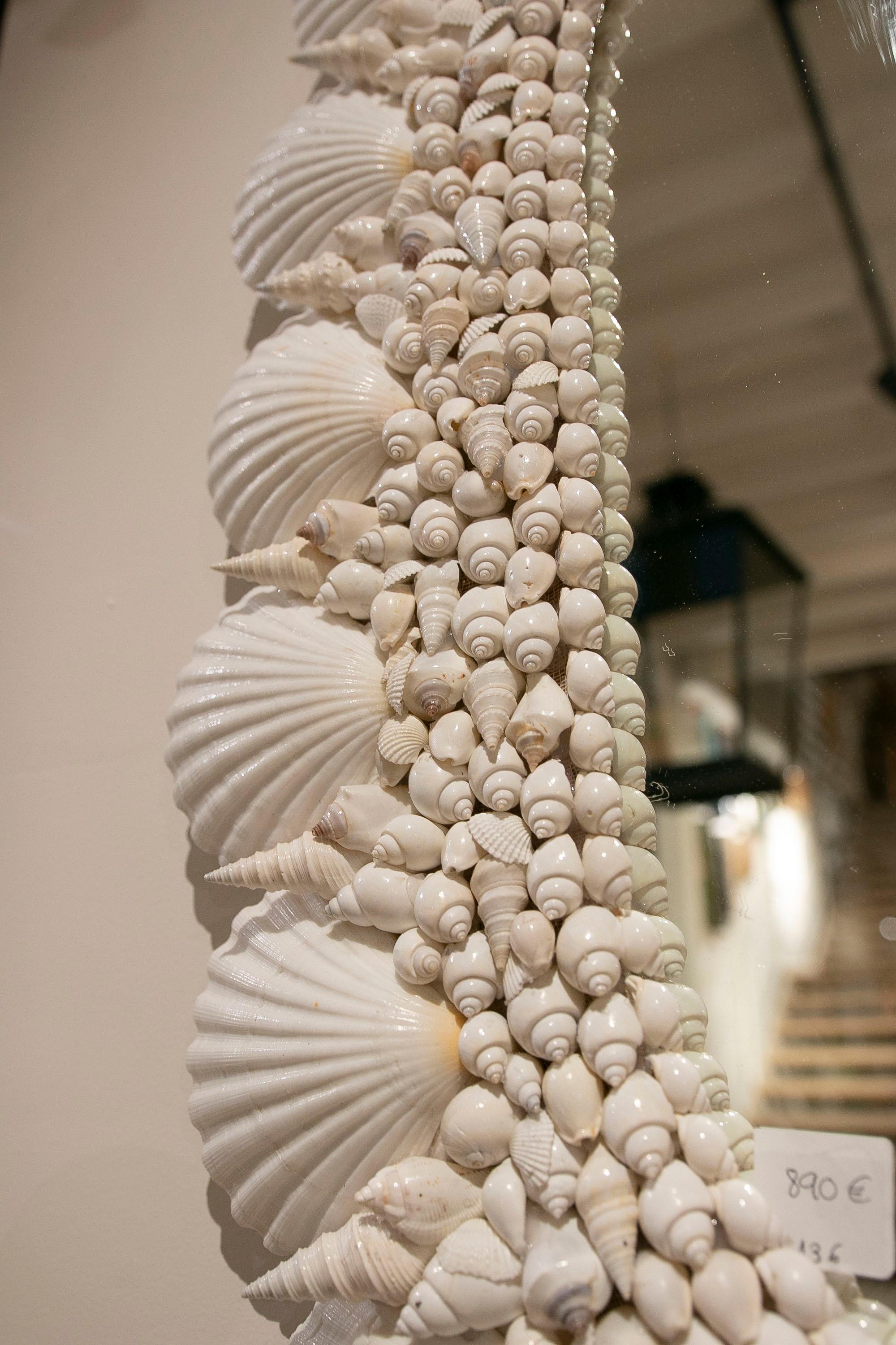 Oval-Shaped Wall Mirror Made from Seashells and Conch Shells 2