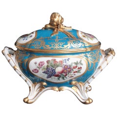 Oval Tureen and Cover of Sevres Porcelain, Turquoise Blue Ground, 18th Century