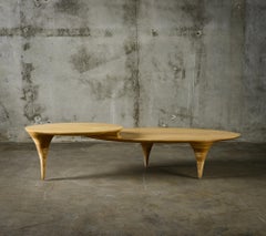 Oval Two-Tiered Coffee Table by Michael Wilson
