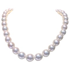 Oval White South Sea Pearl Australian 35pcs