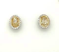 Oval Yellow Diamond Earrings 3.13 Carats GIA Certified Platinum / 18 KYG