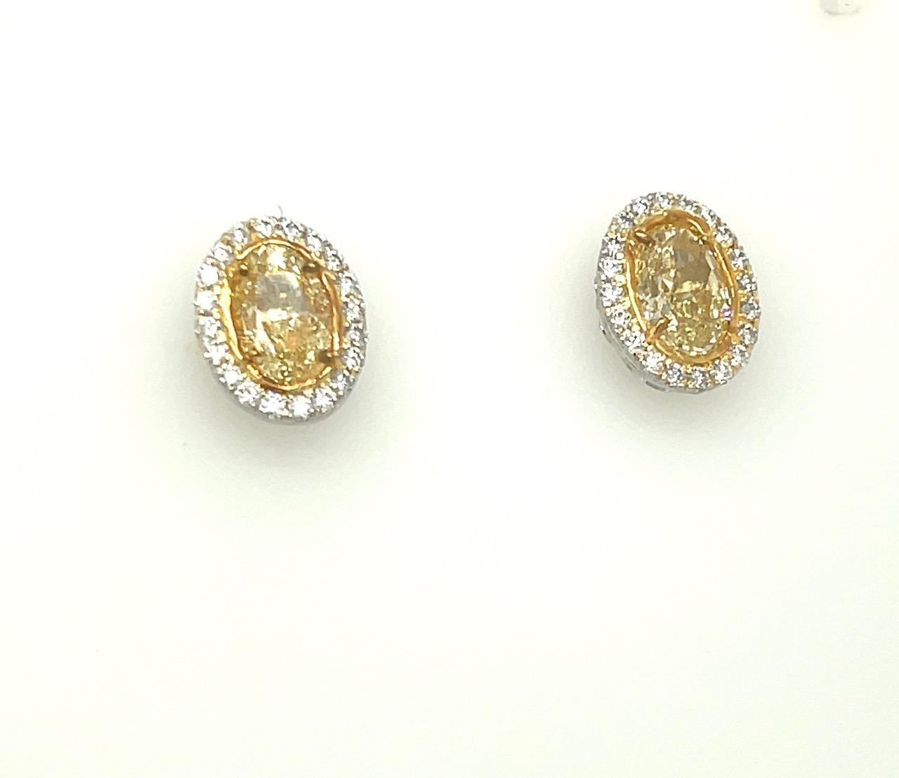 Oval Yellow Diamond Earrings 3.13 Carats GIA Certified Platinum / 18 KYG In New Condition For Sale In Beverly Hills, CA