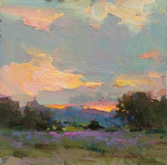 Sunset in Idaho