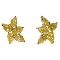 Over 5 Carat Yellow Diamond Cluster Stud Earrings, Set in 18K Yellow Gold.