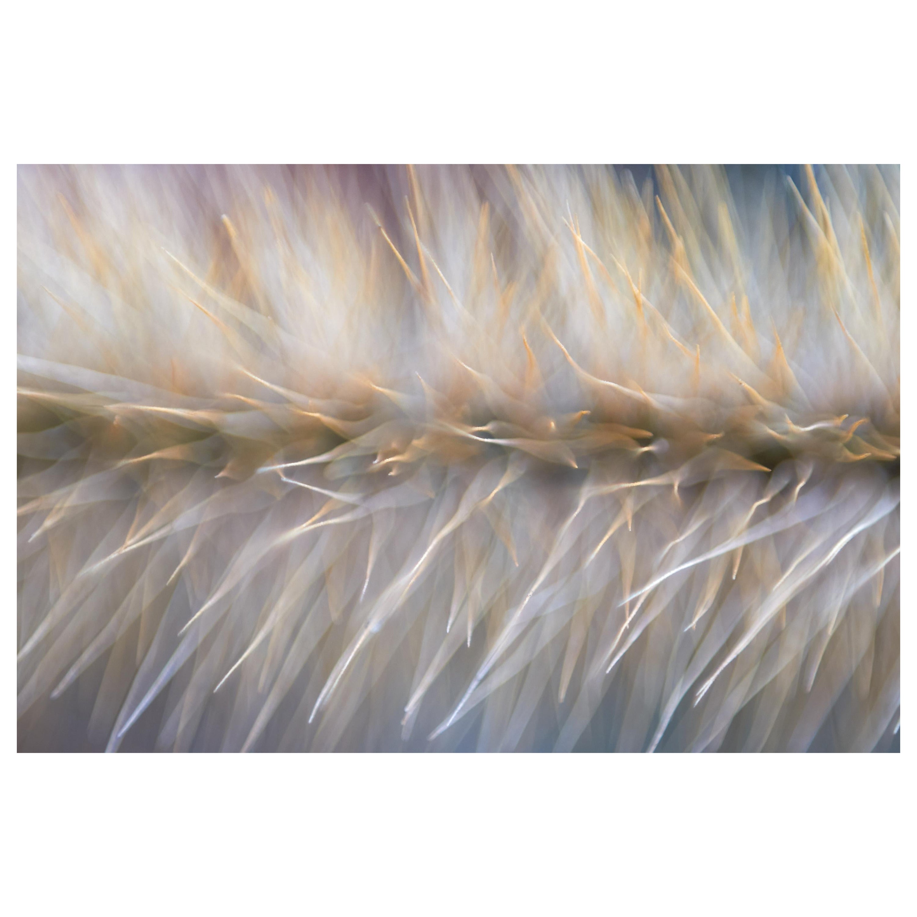 "Overdrive", édition limitée, photographie abstraite de Marko Milić