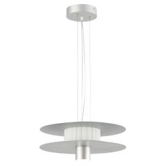 Overlay Silvery Pendant Lamp