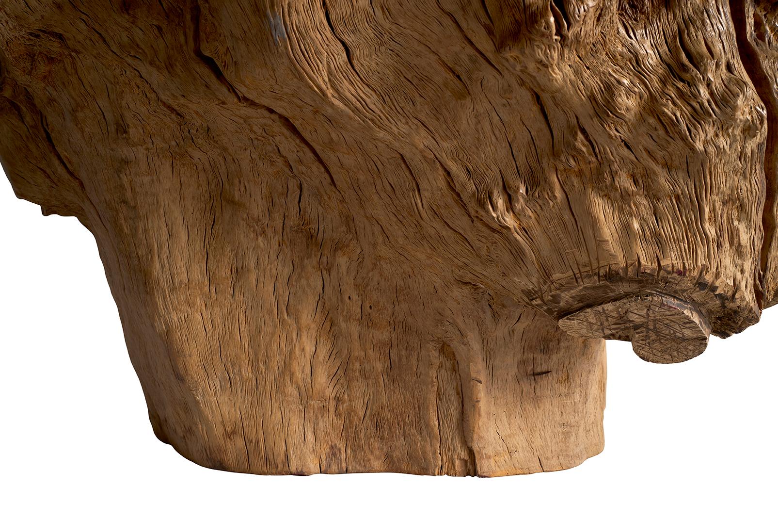Organic Modern Overscale Teak Wood Organic Form Coffee Table For Sale