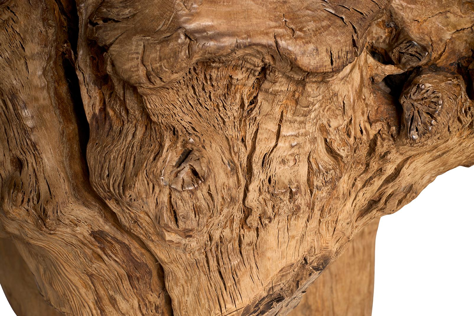 20ième siècle Table basse de forme organique en bois de teck en vente