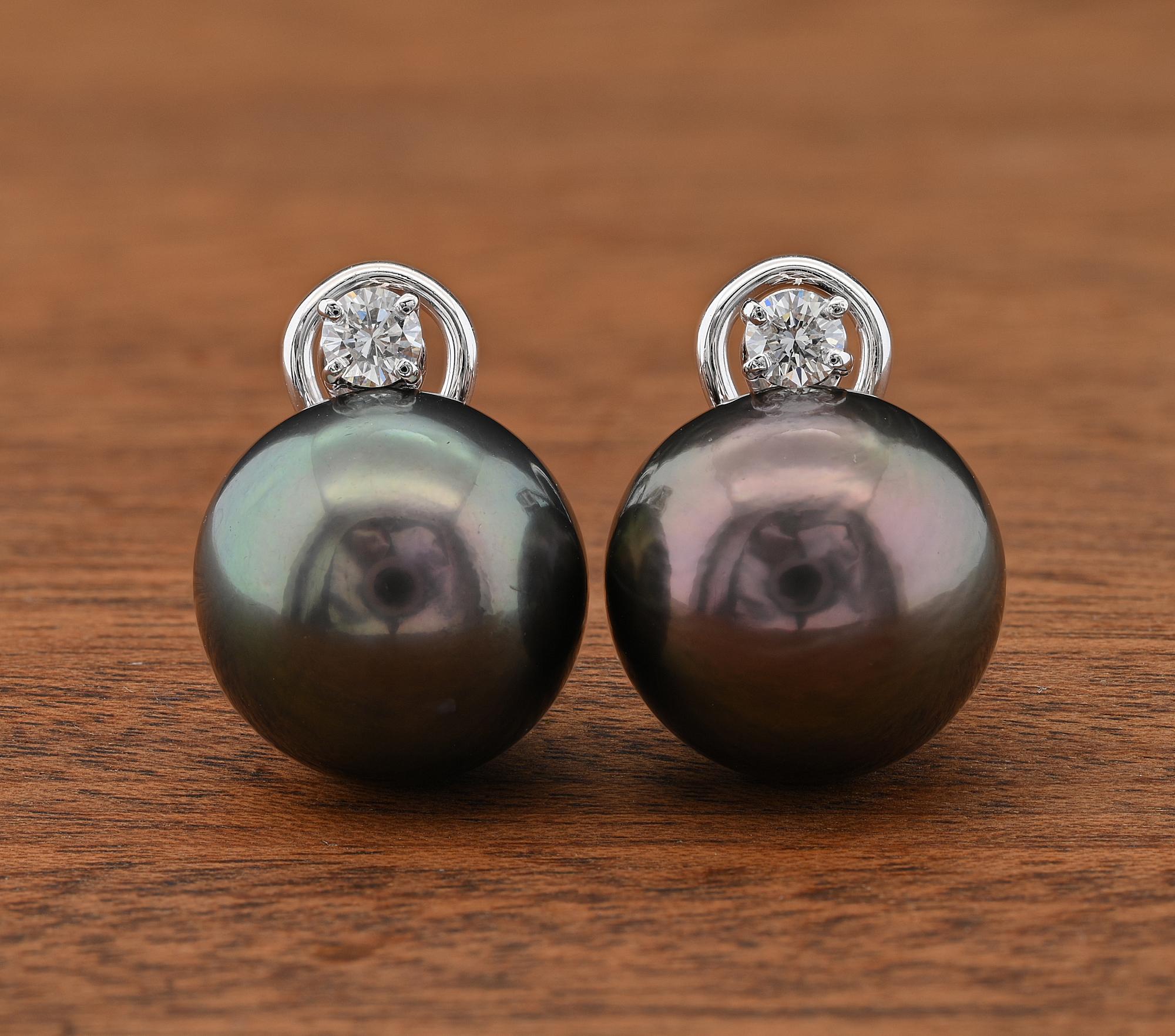 These extraordinary contemporary pair of earrings are of simple elegance perfect to have always on! Hand crafted of solid 18 Kt white gold fine made mount
Boasting two mesmerizing Black Tahitian pearls of rare size being of great roundness very well