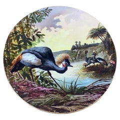 Assiette de présentation ornithologique surdimensionnée du 19ème siècle Narcisse Vivien