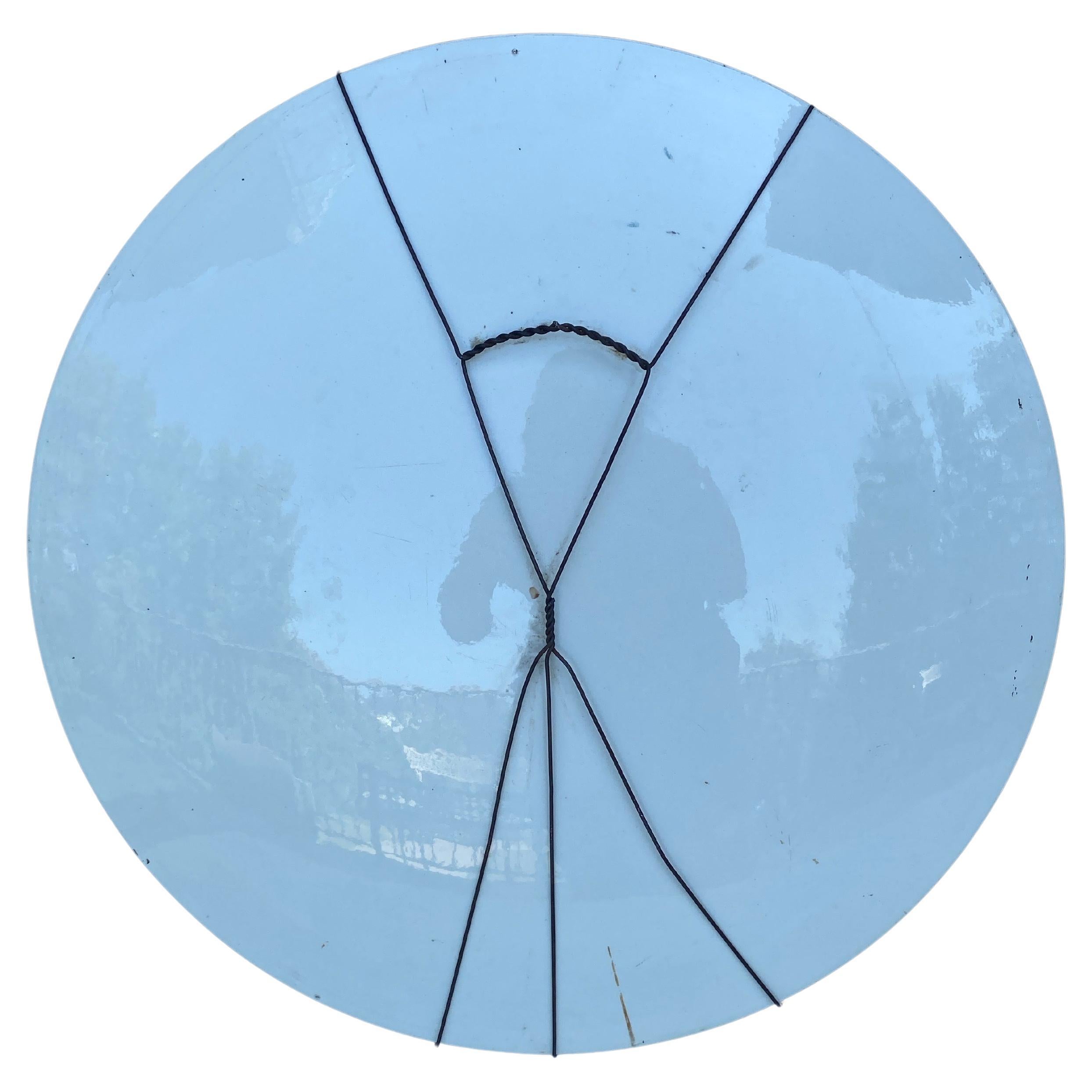 Piatto ornitologico oversize del XIX secolo Narcisse Vivien in vendita 4