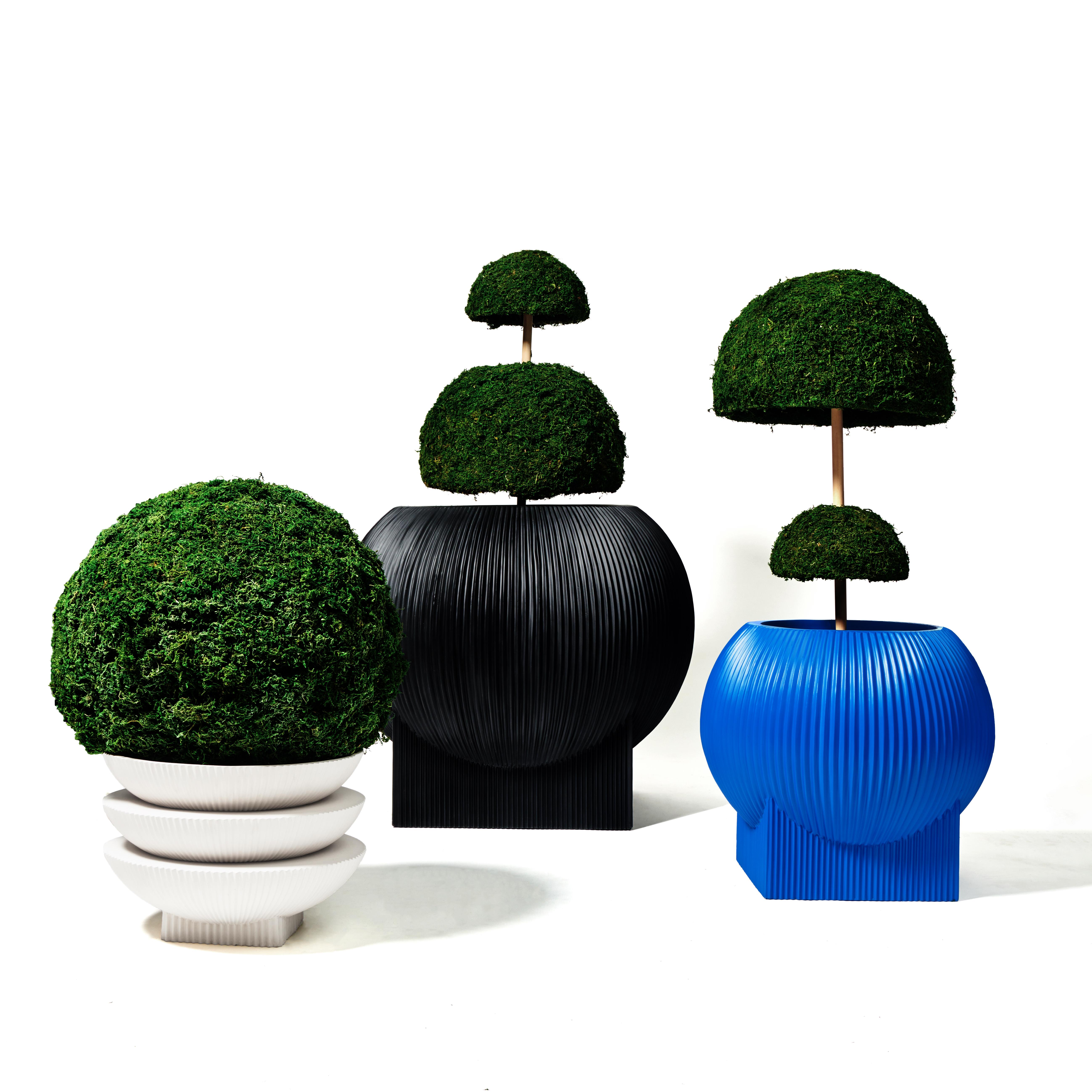 Oversize Flat Blob Planter 'Black' by TFM, Represented by Tuleste Factory 1