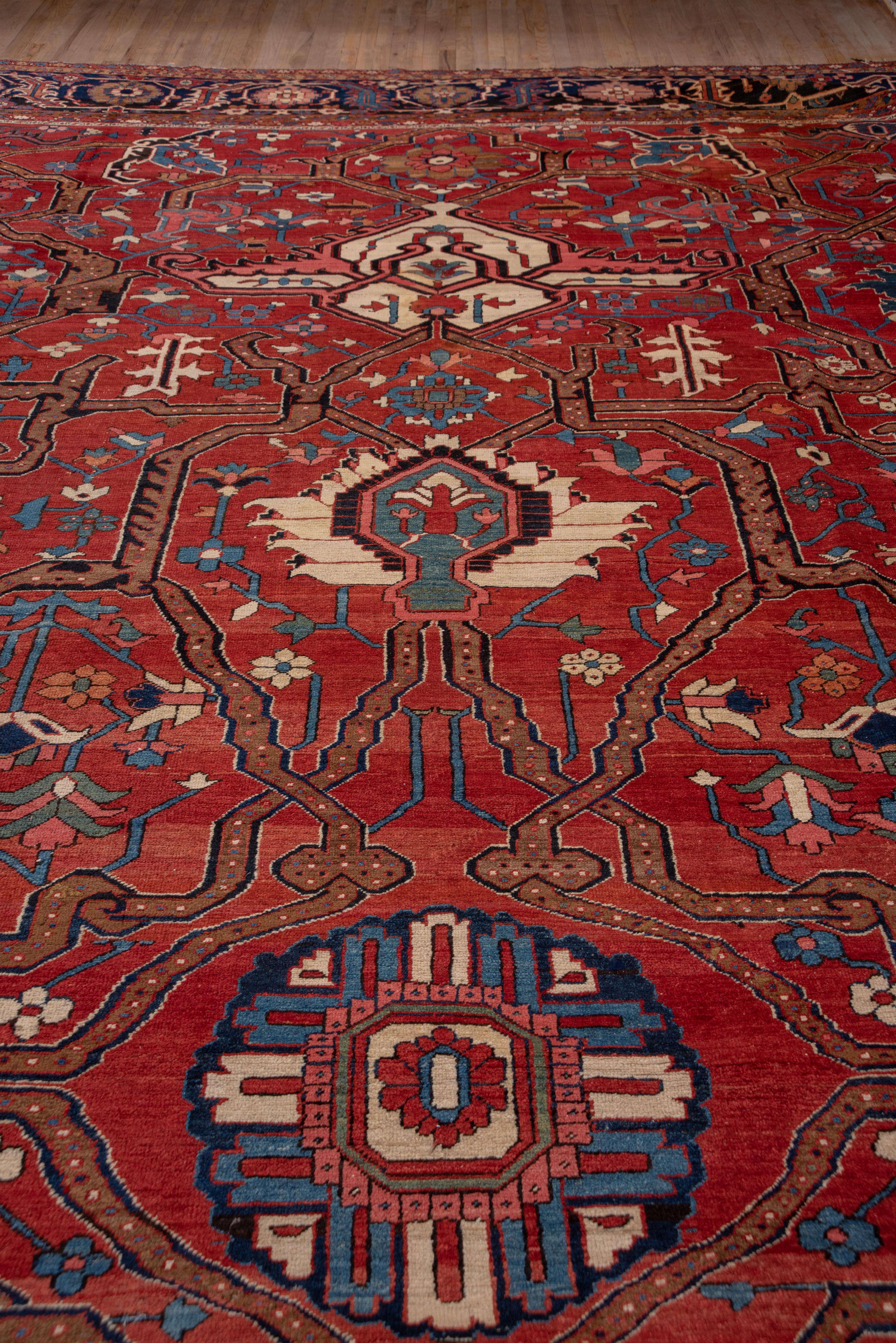 Oversized Antique Heriz Serapi Carpet, Excellent Condition 2