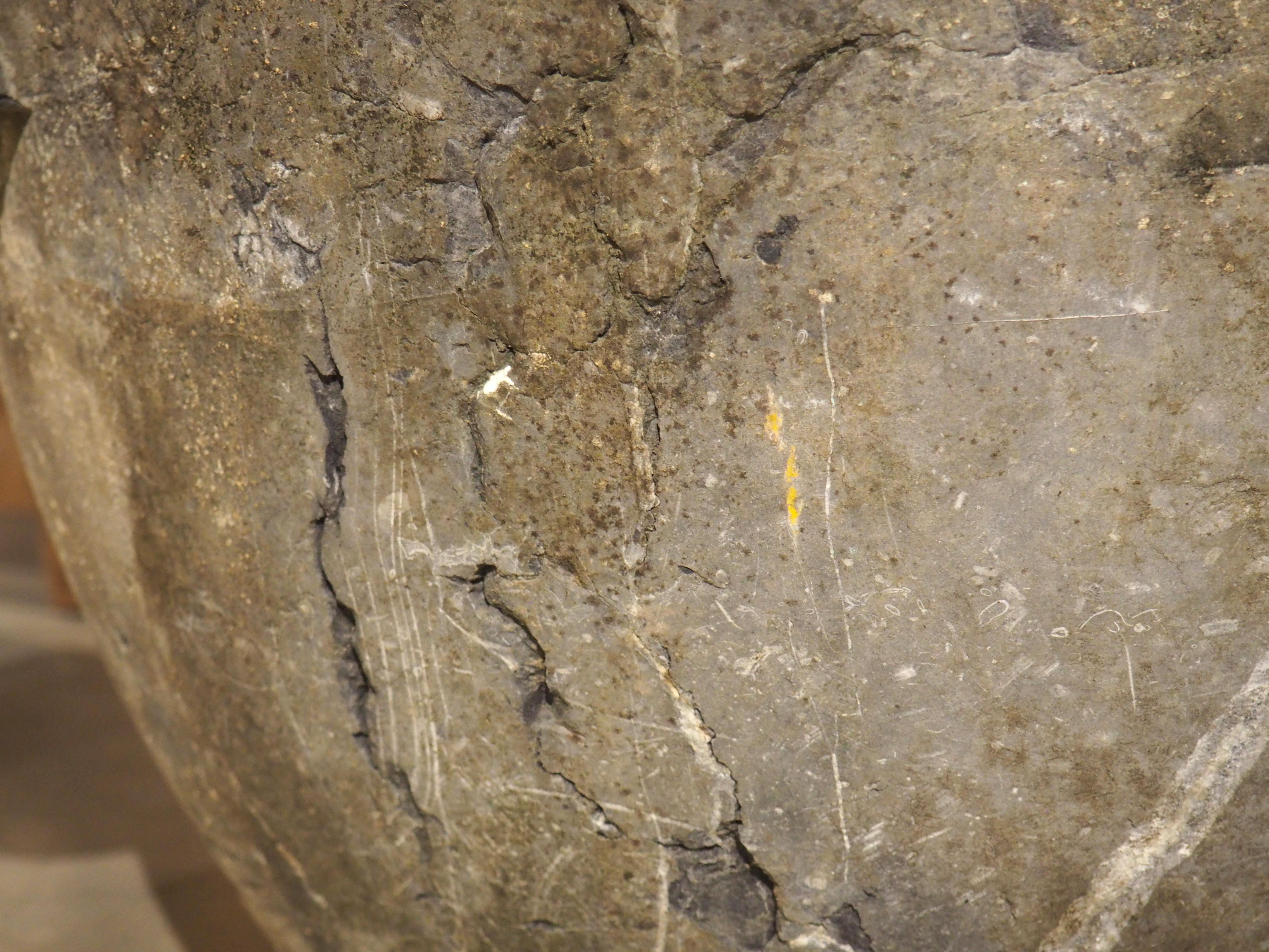 Plus d'informations bientôt...

Datant des années 1800, ce mortier et pilon français massif a été sculpté à la main dans de l'ardoise.  Les apothicaires utilisaient un tel mortier pour broyer les herbes médicinales.